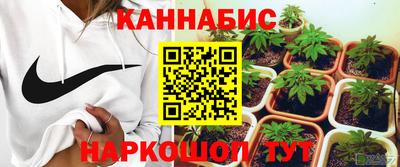 амф Дмитров
