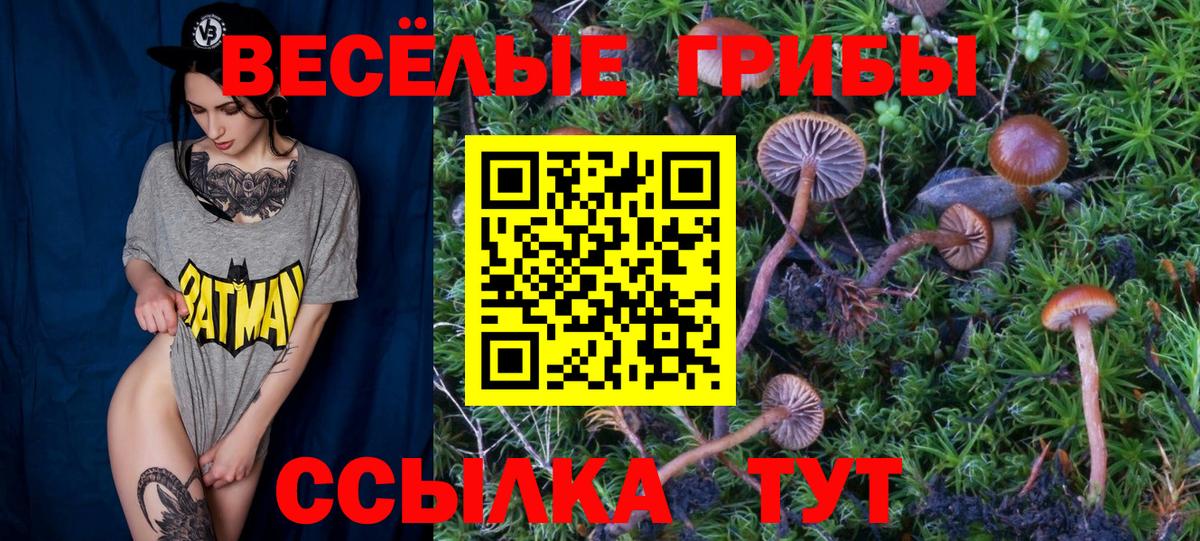 Галлюциногенные грибы прущие грибы Владимир