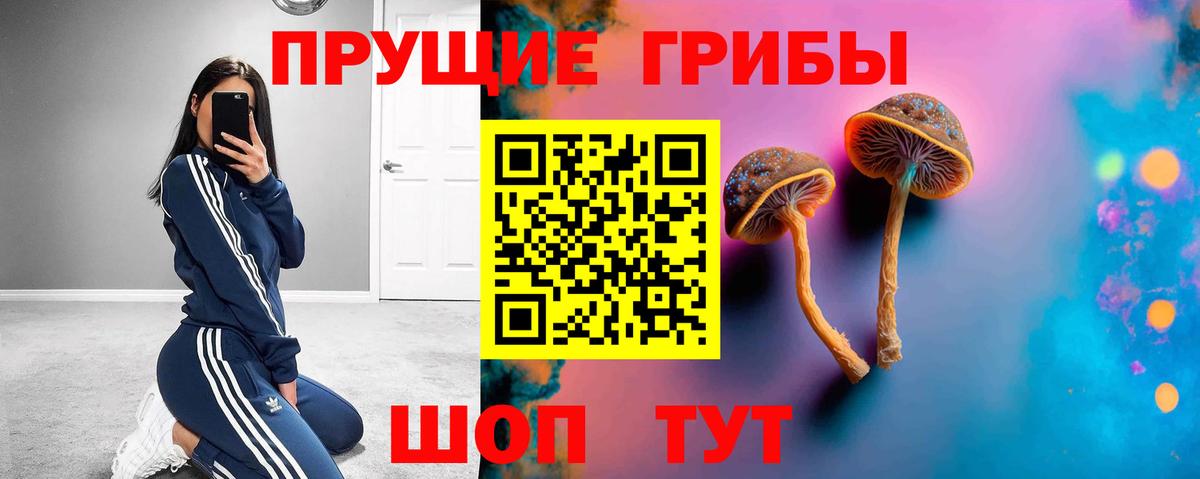 Владимир  Галлюциногенные грибы мицелий  Вход с VPN  Псилоцибиновые грибы Magic Shrooms 